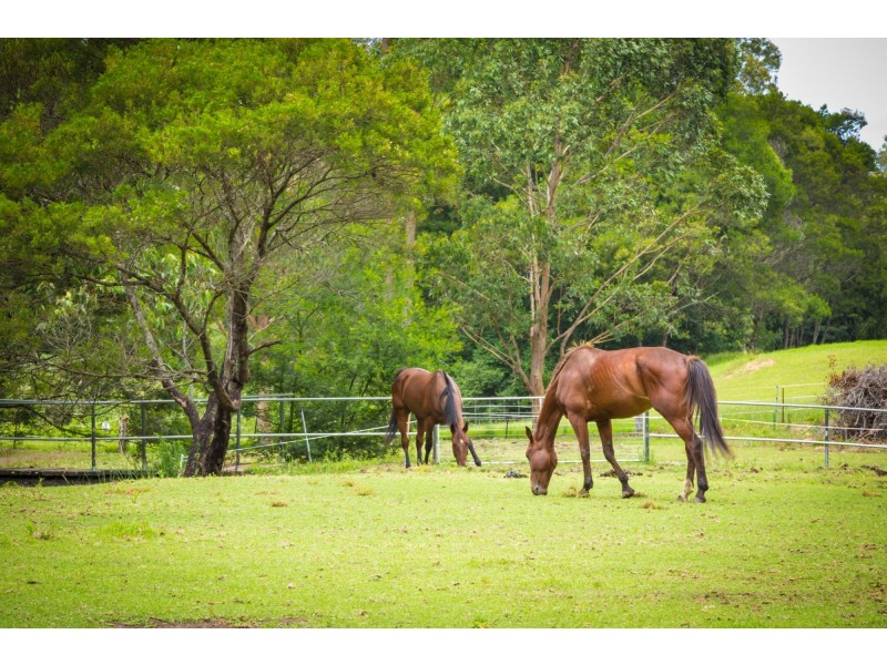 73 Corunna Road, Narooma NSW 2546