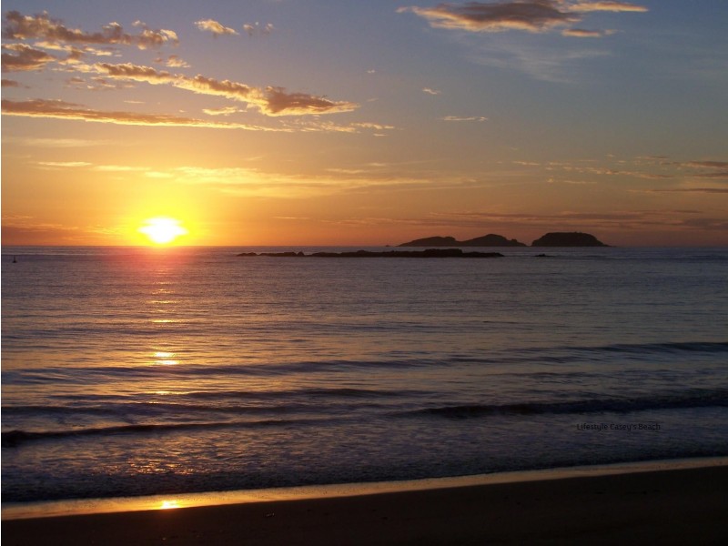 85 Vista Avenue, Catalina NSW 2536