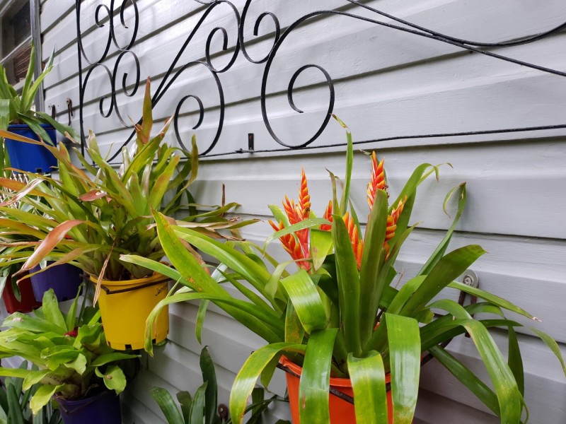 11C South Street, Batemans Bay NSW 2536