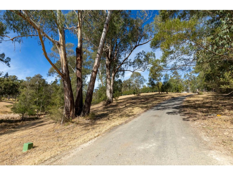 61 Old Bolaro Road, Nelligen NSW 2536