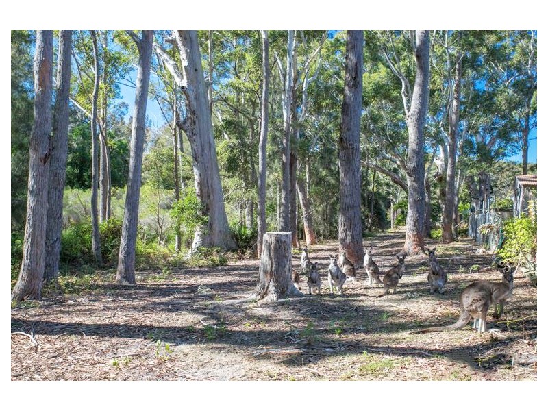 103 Maloneys Drive, Maloneys Beach NSW 2536