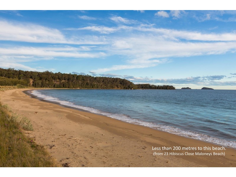 23 Hibiscus Close, Maloneys Beach NSW 2536