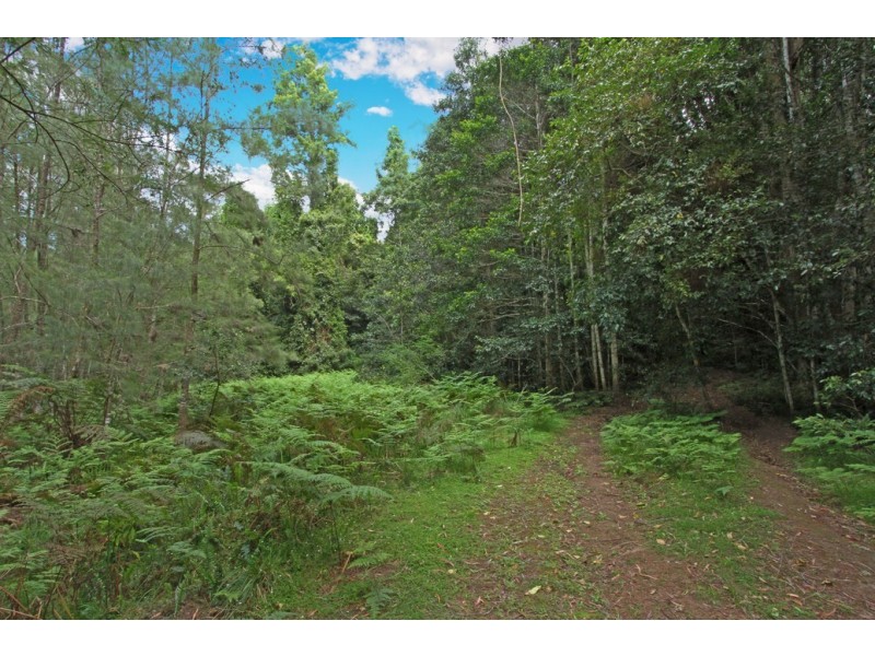 1304 Quart Pot Road, Buckenbowra NSW 2536