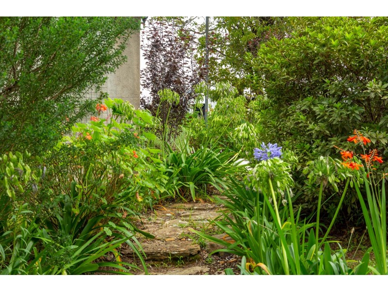 1 Runnyford Road, Nelligen NSW 2536