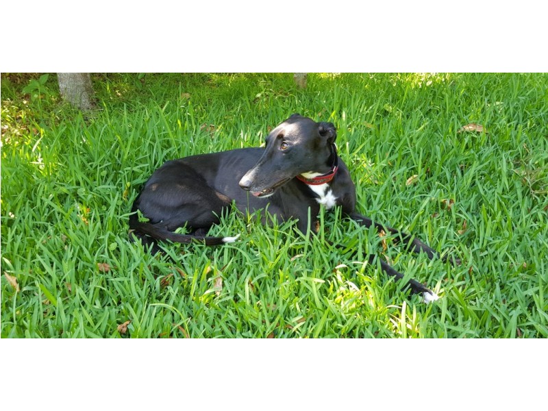 12b Ainslee Parade, Tomakin NSW 2537