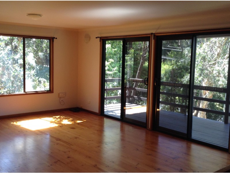 43 Banyandah Street, South Durras NSW 2536