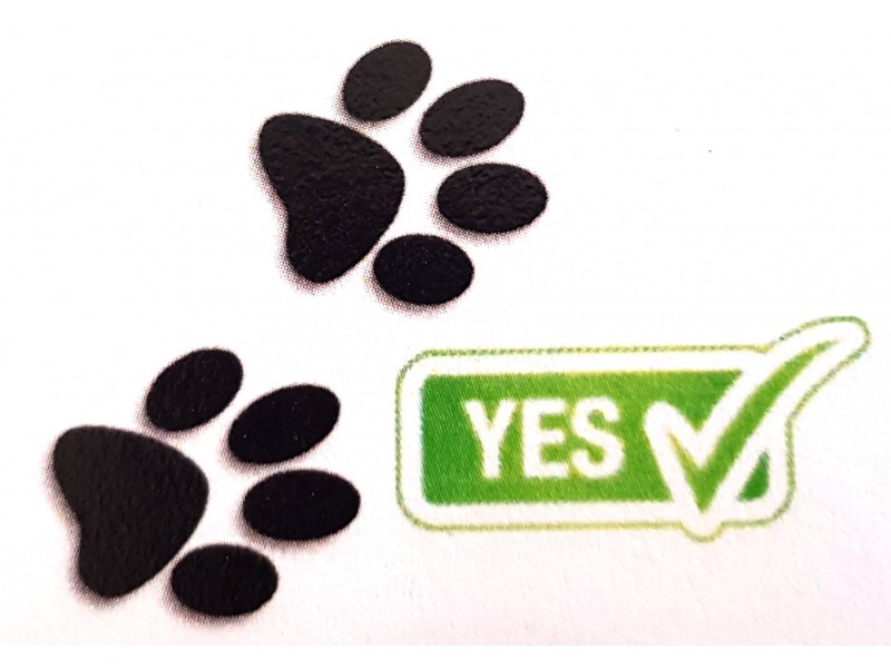 43 Banyandah Street, South Durras NSW 2536