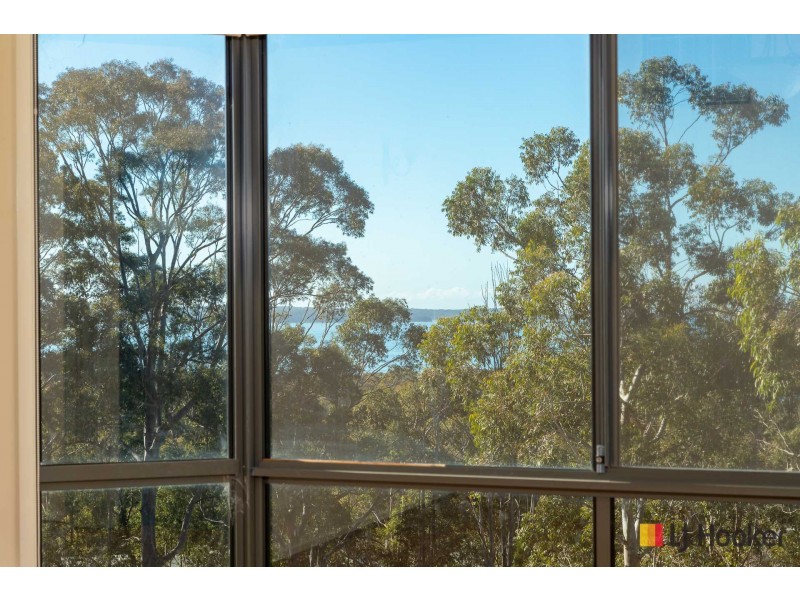 14B Sanctuary Place, Catalina NSW 2536