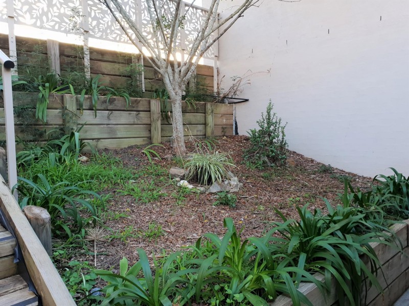 14B Sanctuary Place, Catalina NSW 2536