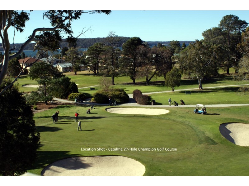 41 Albatross Road, Catalina NSW 2536