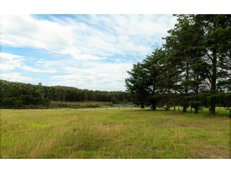 415 Meadows Road, Moruya NSW 2537