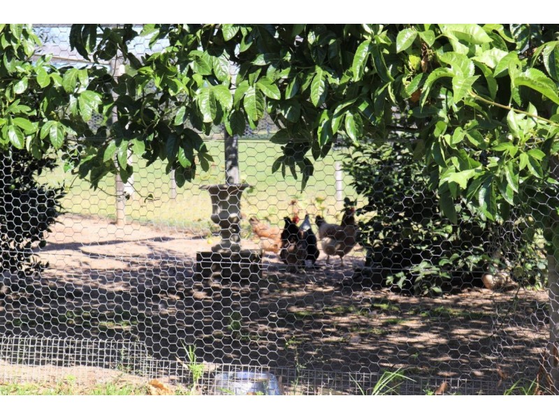 415 Meadows Road, Moruya NSW 2537