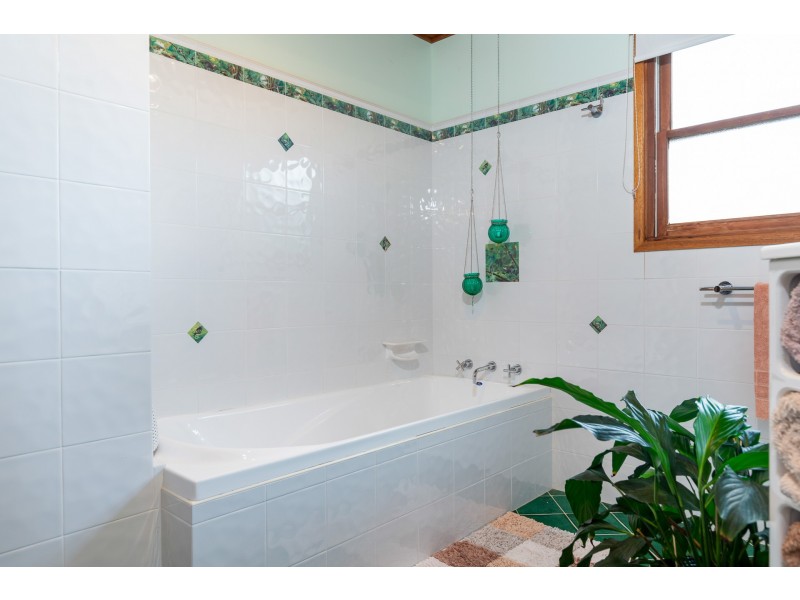 415 Meadows Road, Moruya NSW 2537