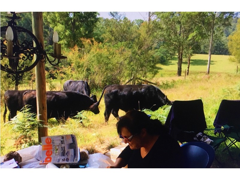 Lot 1 The River Road, Currowan NSW 2536