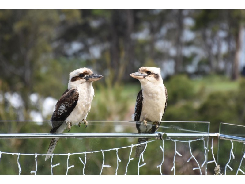 10 Mary Place, Long Beach NSW 2536