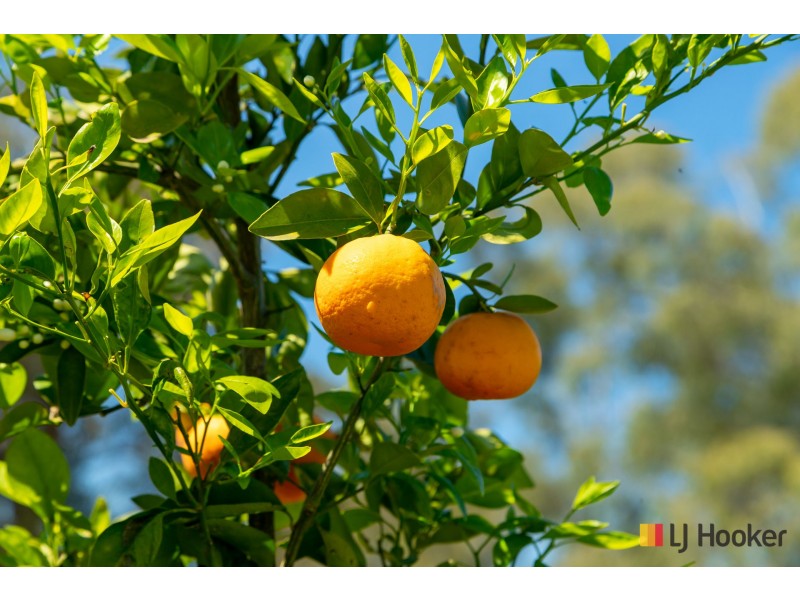 130 Allards Lane, Nelligen NSW 2536