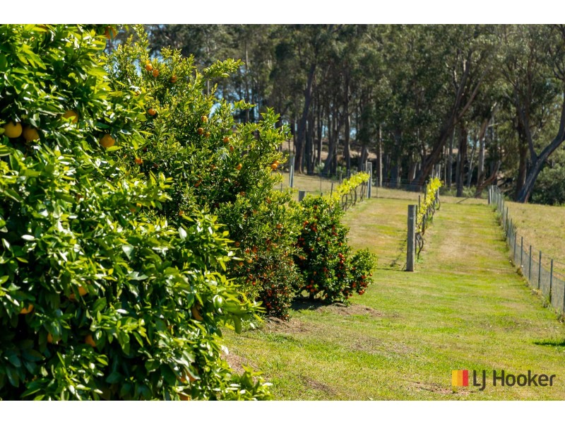 130 Allards Lane, Nelligen NSW 2536