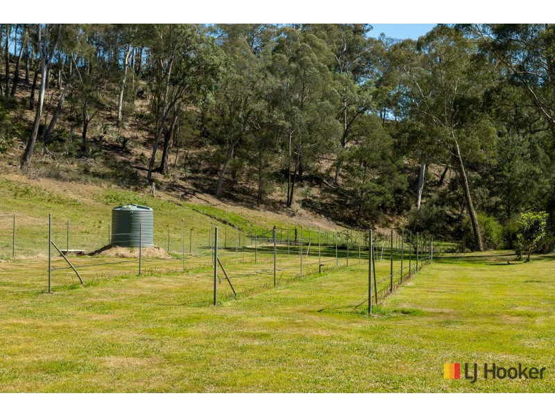 130 Allards Lane, Nelligen NSW 2536