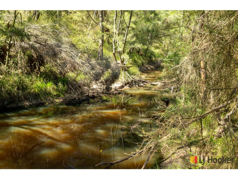 130 Allards Lane, Nelligen NSW 2536