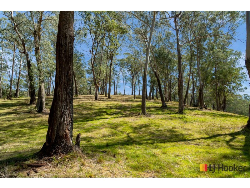 130 Allards Lane, Nelligen NSW 2536