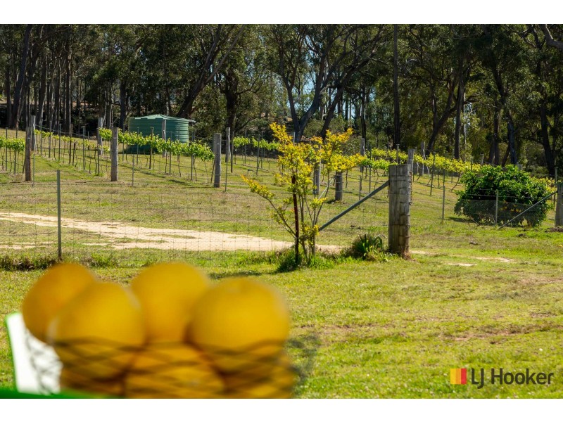 130 Allards Lane, Nelligen NSW 2536