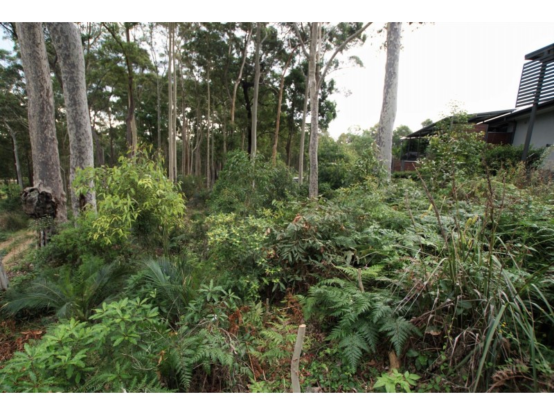 53 Litchfield Crescent, Long Beach NSW 2536