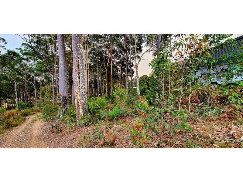 53 Litchfield Crescent, Long Beach NSW 2536