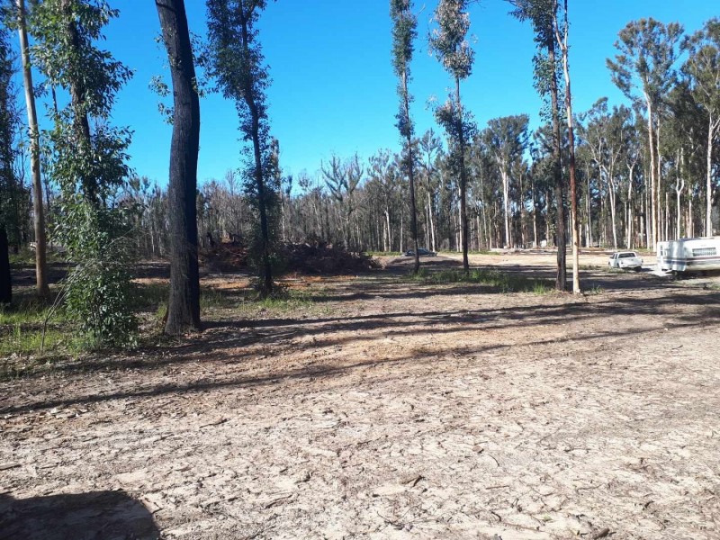 95 Bimbimbie Road, Bimbimbie NSW 2536