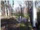 95 Bimbimbie Road, Bimbimbie NSW 2536