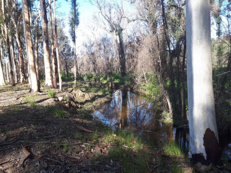 95 Bimbimbie Road, Bimbimbie NSW 2536