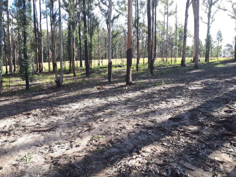 95 Bimbimbie Road, Bimbimbie NSW 2536
