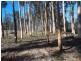 95 Bimbimbie Road, Bimbimbie NSW 2536