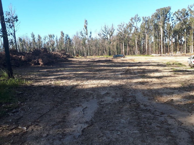 95 Bimbimbie Road, Bimbimbie NSW 2536
