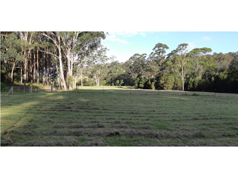 Lot 16, 62 Jedel Drive, Catalina NSW 2536