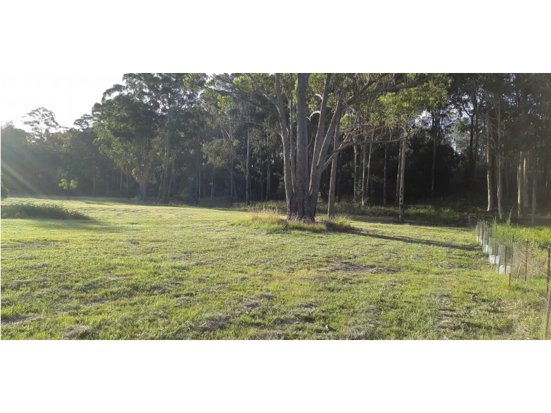 Lot 16, 62 Jedel Drive, Catalina NSW 2536