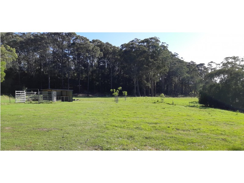 Lot 16, 62 Jedel Drive, Catalina NSW 2536