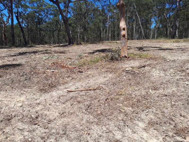 Lot 6 Wamban Road, Moruya NSW 2537