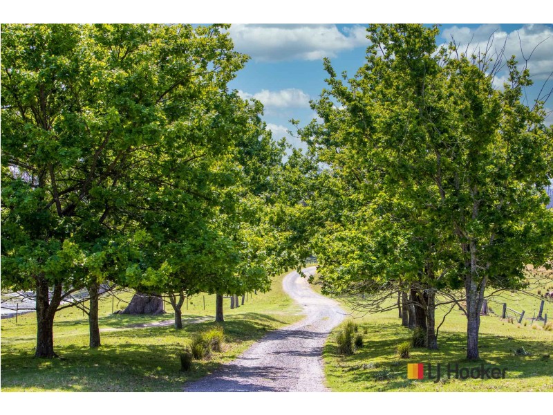 1109 Princes Highway, Mogo NSW 2536