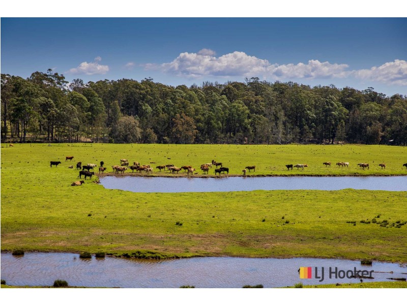 1109 Princes Highway, Mogo NSW 2536