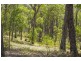 Lot 9 Wamban Road, Moruya NSW 2537