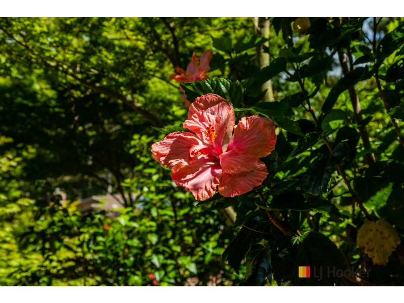 21A Lilli Pilli Road, Lilli Pilli NSW 2536