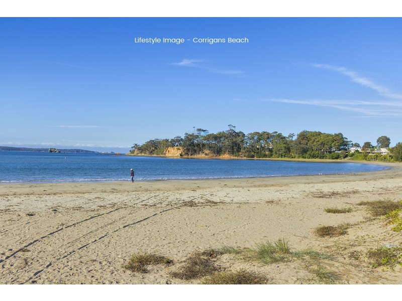 73 Heron Road, Catalina NSW 2536