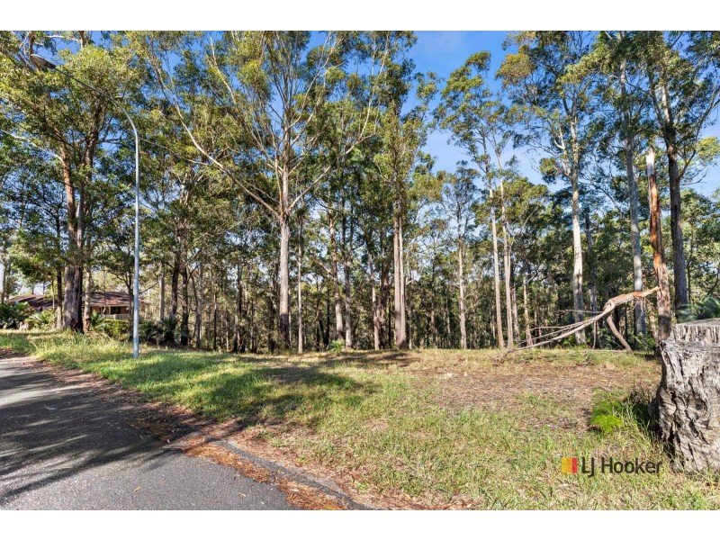 8 Burri Palm Way, Surfside NSW 2536
