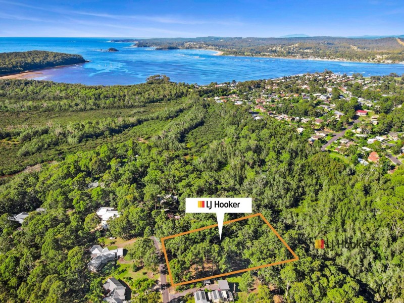 8 Burri Palm Way, Surfside NSW 2536