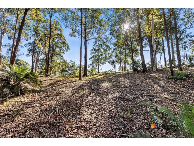 8 Burri Palm Way, Surfside NSW 2536