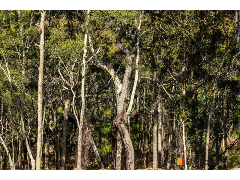 Wonga Lane, Lilli Pilli NSW 2536