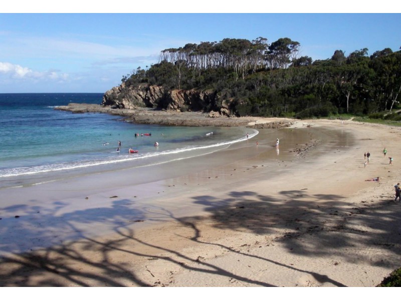 Wonga Lane, Lilli Pilli NSW 2536