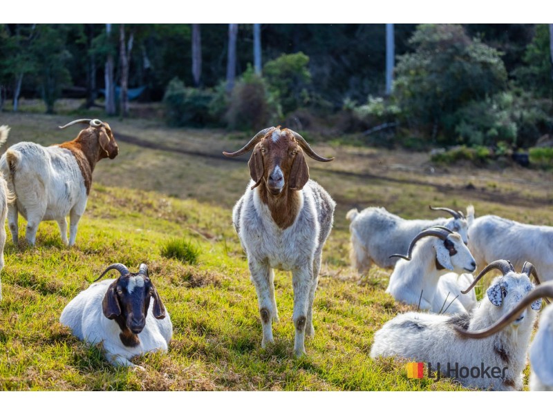 20 Western Distributor Road, Currowan NSW 2536