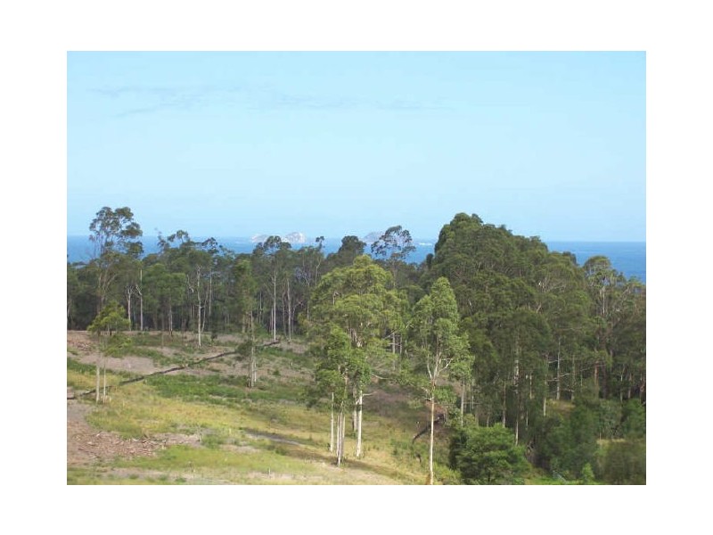 93 Blairs Road, Long Beach NSW 2536