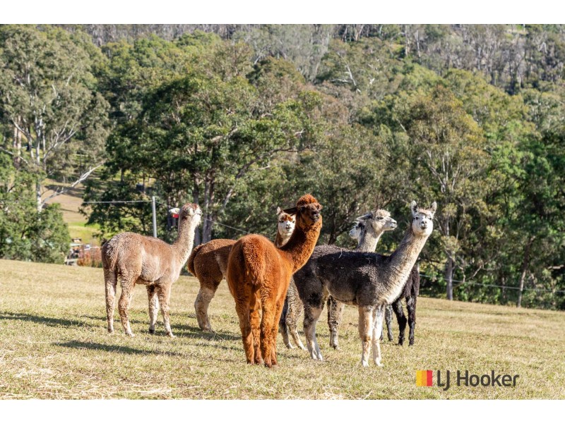 54 Allards Lane, Nelligen NSW 2536